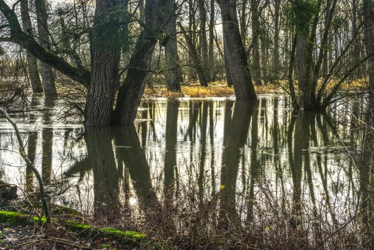Hochwasservorsorge: Grüne für Schutzmaßnahmen-Fonds