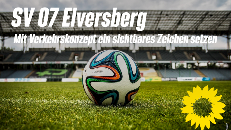 Saargrüne wünschen sich von der SV 07 Elversberg beim Verkehrskonzept die erste Liga im Saarland