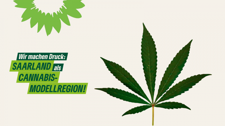 Saar-Grüne erneuern die Forderung nach Modellregion „Saar“ für Cannabisabgabe