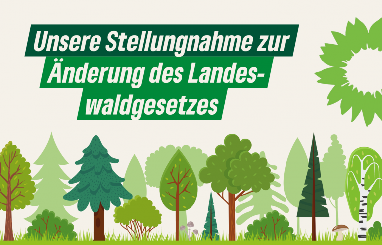 Saar-Grünen beziehen Stellung zum Landeswaldgesetz