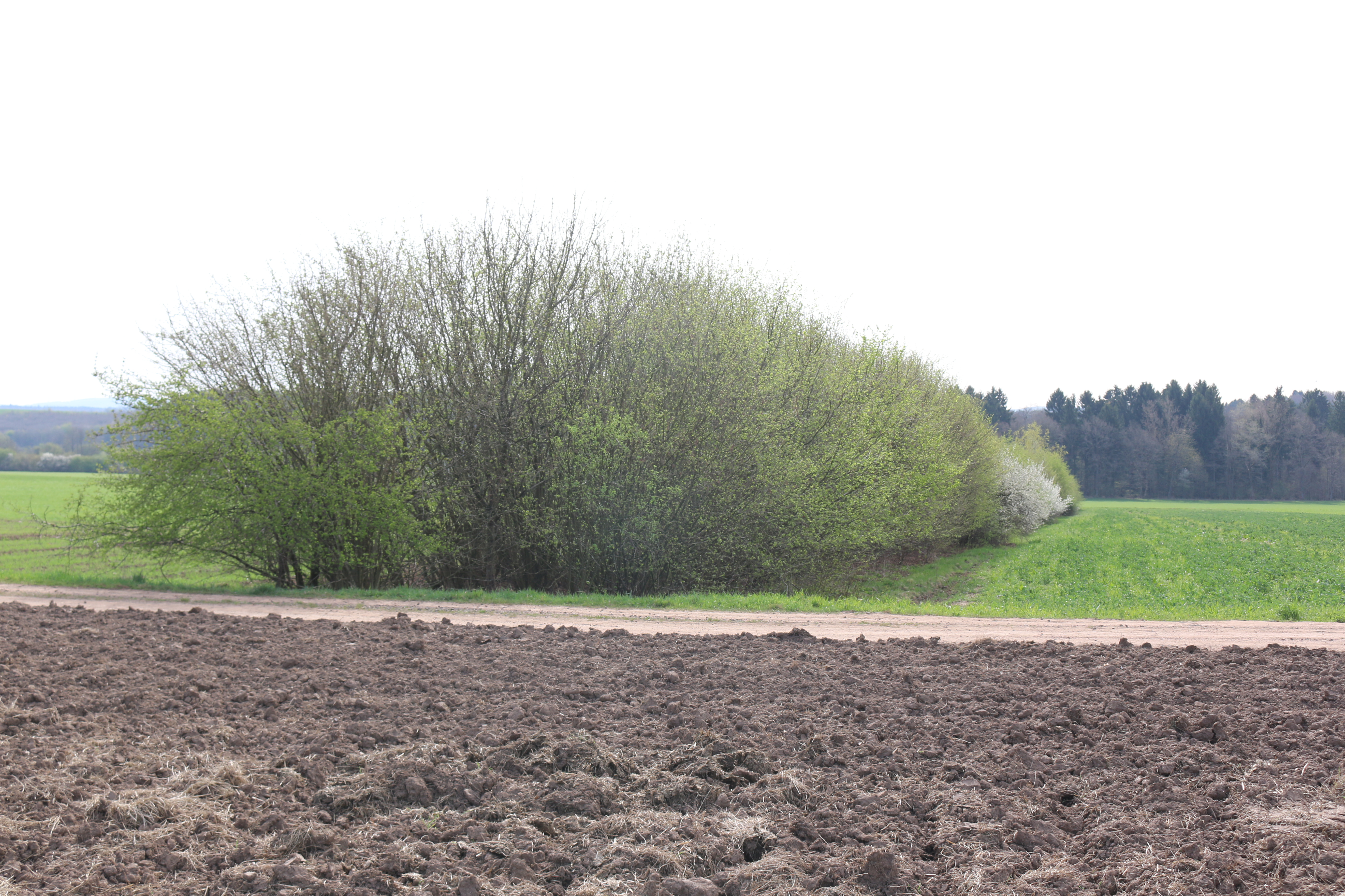 ﻿Gewässer und Böden vor Mikroplastik schützen