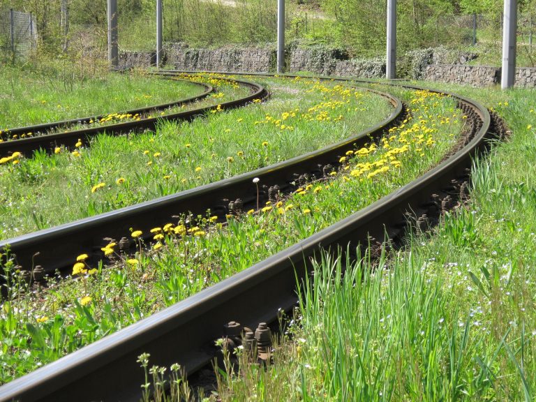 Glyphosat im Gleisbereich nicht mehr ausbringen