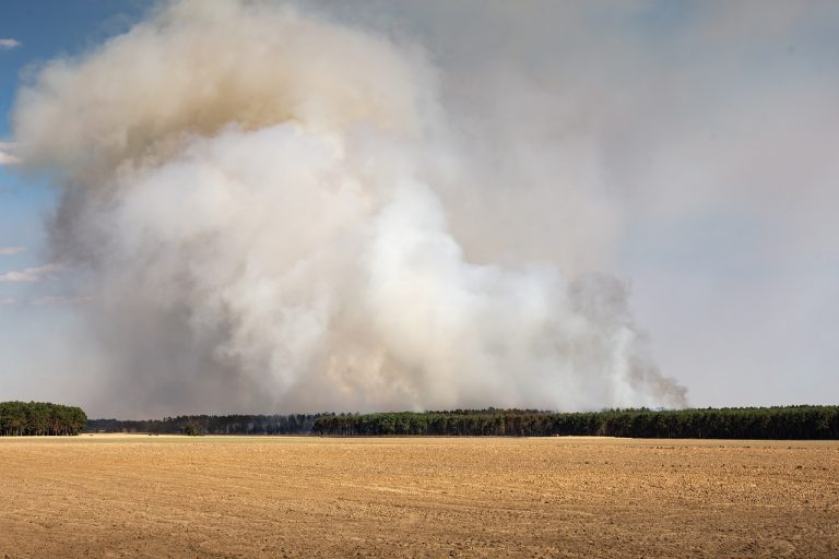 Dürresommer: Wald- und Flurbrandbekämpfung verbessern﻿