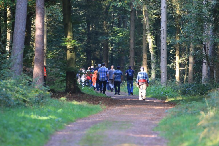 Grüne für Kur- und Heilwälder im Saarland