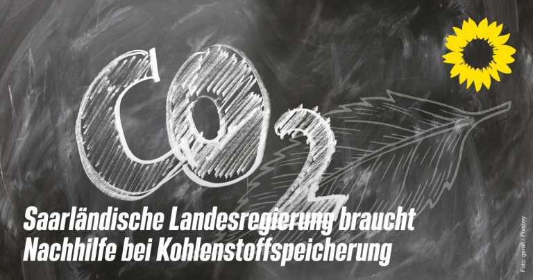 Saarländische Landesregierung braucht Nachhilfe in Bezug auf Kohlenstoffspeicherung