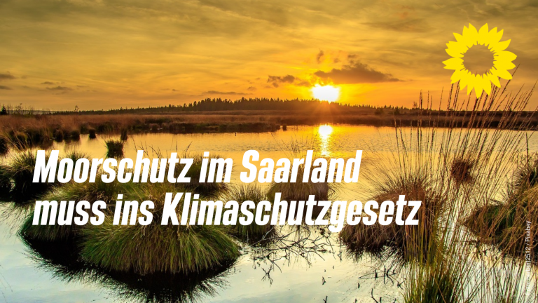 GRÜNE SAAR: Moorschutz im Saarland muss ins Klimaschutzgesetz