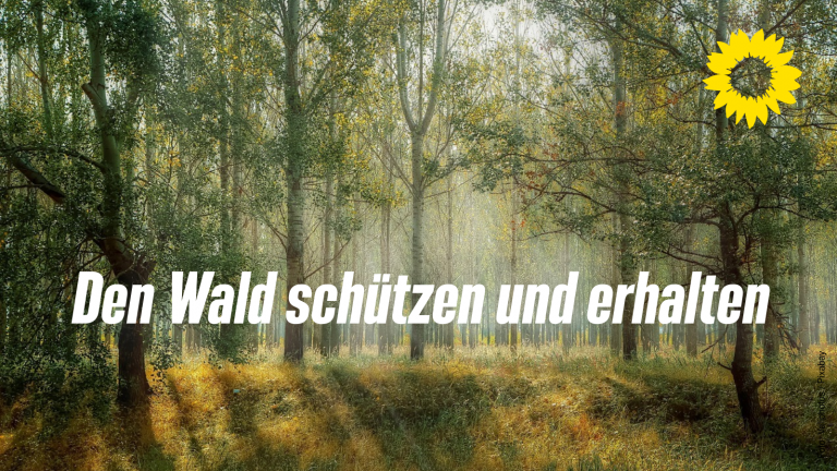 Den Wald schützen und erhalten