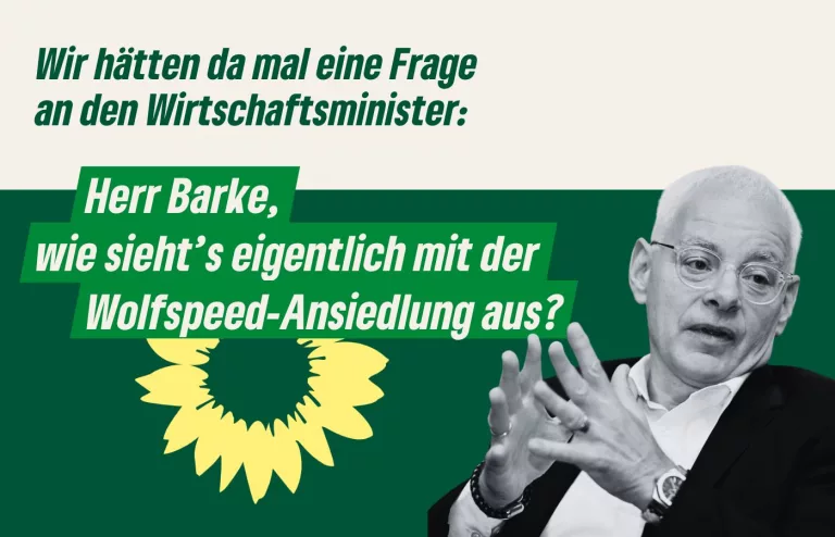 Saargrüne stellen Anfrage : „Herr Barke, wie geht es mit der Wolfspeed-Ansiedlung weiter?“