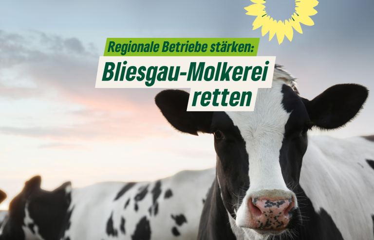 Saar-Grüne fordern Erhalt der Bliesgau-Molkerei und Stärkung der regionalen Wertschöpfung