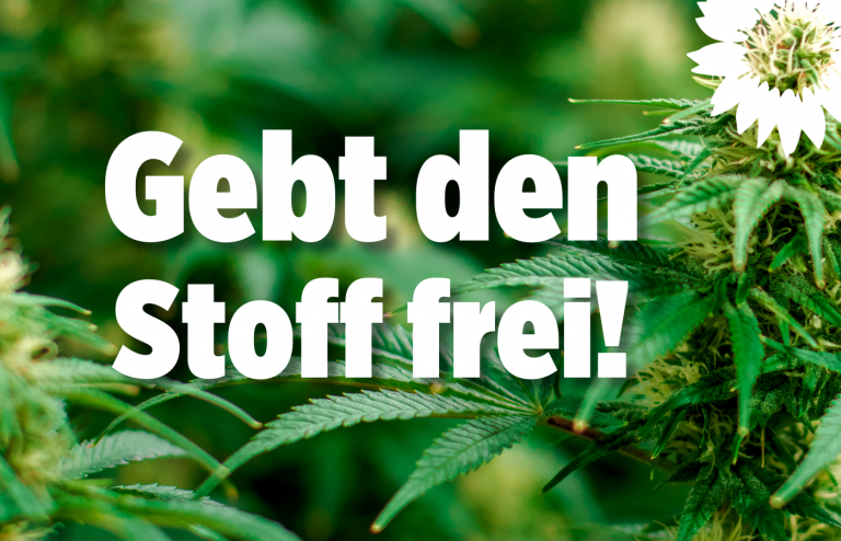 Saar-Grüne zu Cannabis-Clubs: Landesregierung muss endlich liefern