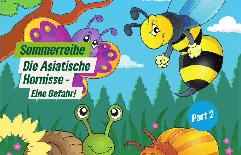 Sommerreihe Teil 2: Asiatische Hornisse bedroht Natur & Mensch – Saar-Grüne fordern Meldepflicht und Prävention