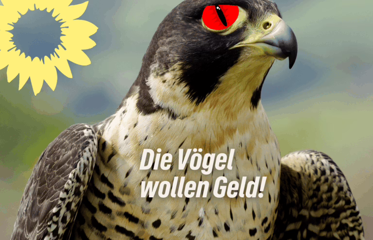 Saar-Grüne: Finanzierung für Wildtierstationen sichern – Artenvielfalt schützen, Klimafolgen ernst nehmen