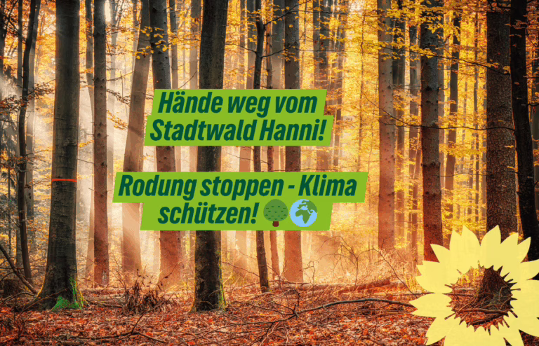 Gericht entscheidet über Stadtwald Hanni: Saar-Grüne fordern endgültiges Aus für Rodungspläne